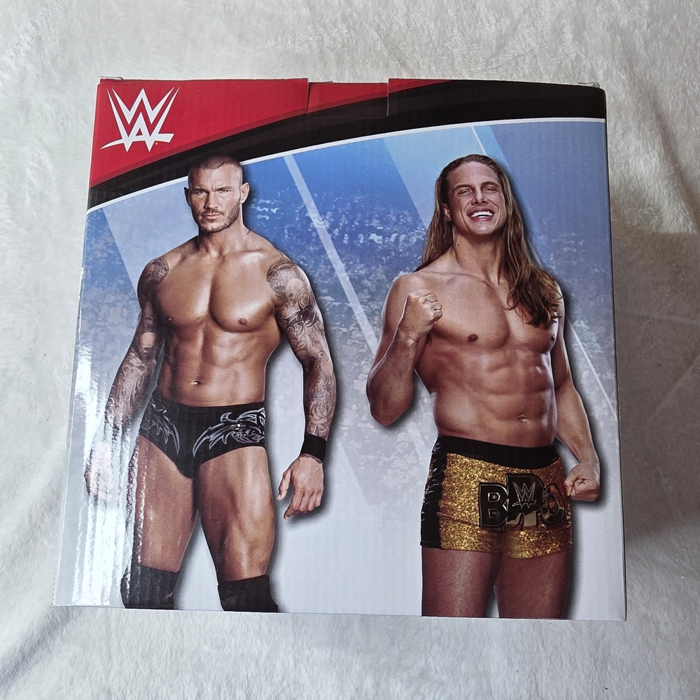 0WWE Rk-Bro Randy Orton Matt Riddle Bobblehead #6 - Picture 7 of 9